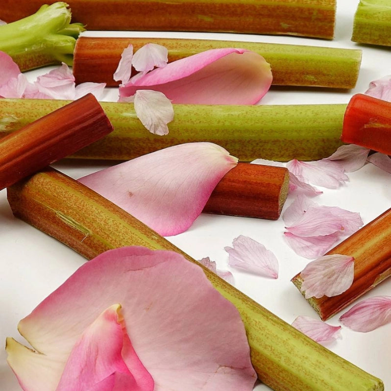 Rhubarb and Rose Wax Melt Snap Bar