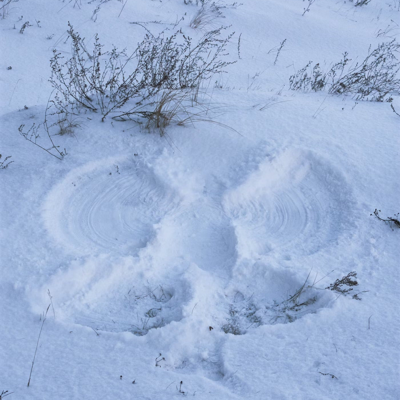 Snow Angel Wax Melt Scoopies Jar