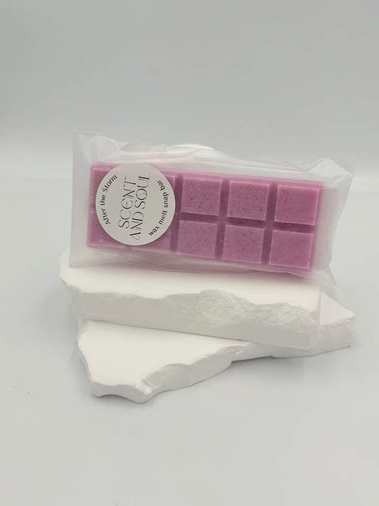 After the Storm Wax Melt Snap Bar